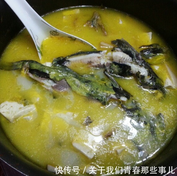 鱼肉|炖鱼汤时,不能加这“2香”,否则鱼汤发黑,不鲜香,鱼肉也发柴