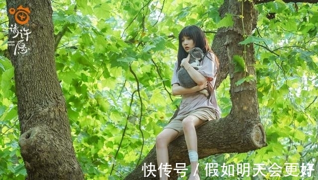 酋长的男人|《喵，请许愿》今晚首播，“狮子猫”葛鑫怡来地球向任宥纶报恩啦