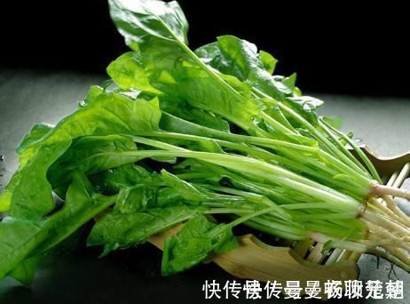 买菠菜,“圆叶”“尖叶”要分清,区别很大,买错不好吃还浪费钱