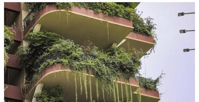 高层|第四代房要来了！家家有院子，车停门口，却不被看好为啥？