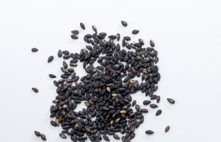 食物|怀孕后吃这几种食物,有利于胎儿发育,对孕妇健康也有好处