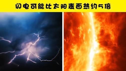 骨头|学校里可能没有教过你的10个很有趣的小知识