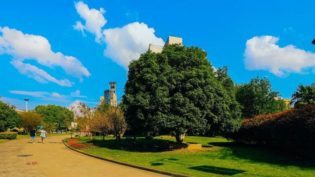 浙江水利水电学院|钱塘大学城秋景，美出圈！