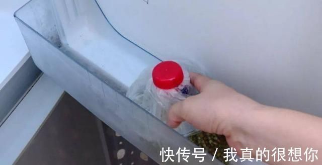 no.2|塑料瓶别扔了,简单改造一下,全家抢着用