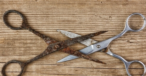 有趣的22个冷知识:刚要睡着时,感觉身体从高处坠落是怎么回事