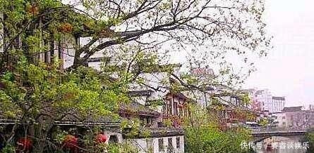 至今|朱雀桥,从刘禹锡的诗《乌衣巷》中走来,至今“残基犹说晋咸康”