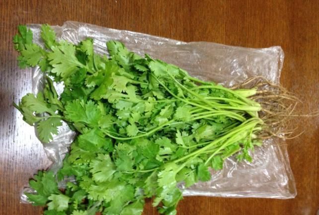 根部|保存香菜,最忌直接放冰箱教你饭店方法,半年还新鲜,不黄不坏