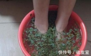 叶茂盛|脚气奇痒难忍只需用它泡脚,不花一分钱,轻松告别脚气烦恼