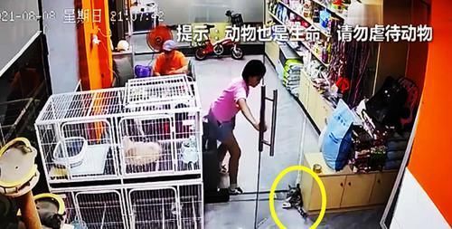 恶作剧|男子扛38水出电梯,遭男孩恶意绊脚愤怒回踢:我不是你爸不会惯你