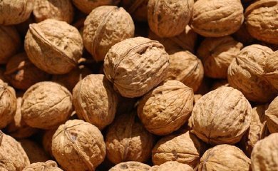 核桃和它同吃等于惹病上身,不仅营养大打折扣,还会危害健康!