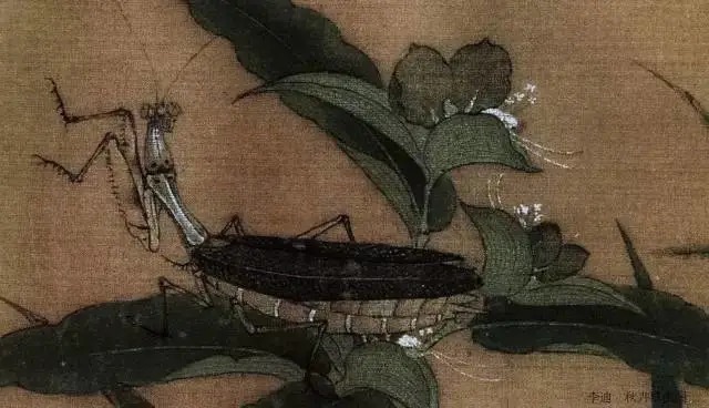 蝈蝈$国画技法图典——草虫篇:蝗虫 蚂蚱 蝈蝈 螽斯 螳螂 蟋蟀