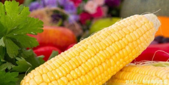储存玉米是“先煮”还是“先冻”,很多人做错了,难怪玉米不香!