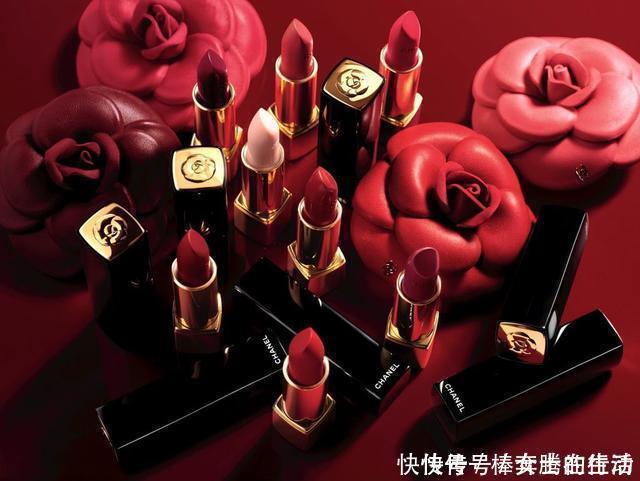 素描|香奈儿又申请到素描山茶花商标,过程并不容易