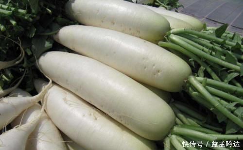 冬天要多吃白萝卜,买白萝卜时,牢记3个技巧,不怕买到糠心萝卜