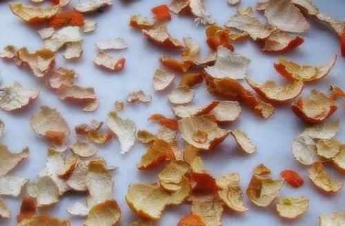 柑橘|橘子皮好处那么多扔掉可惜了，橘子、桔子、柑橘有什么区别?