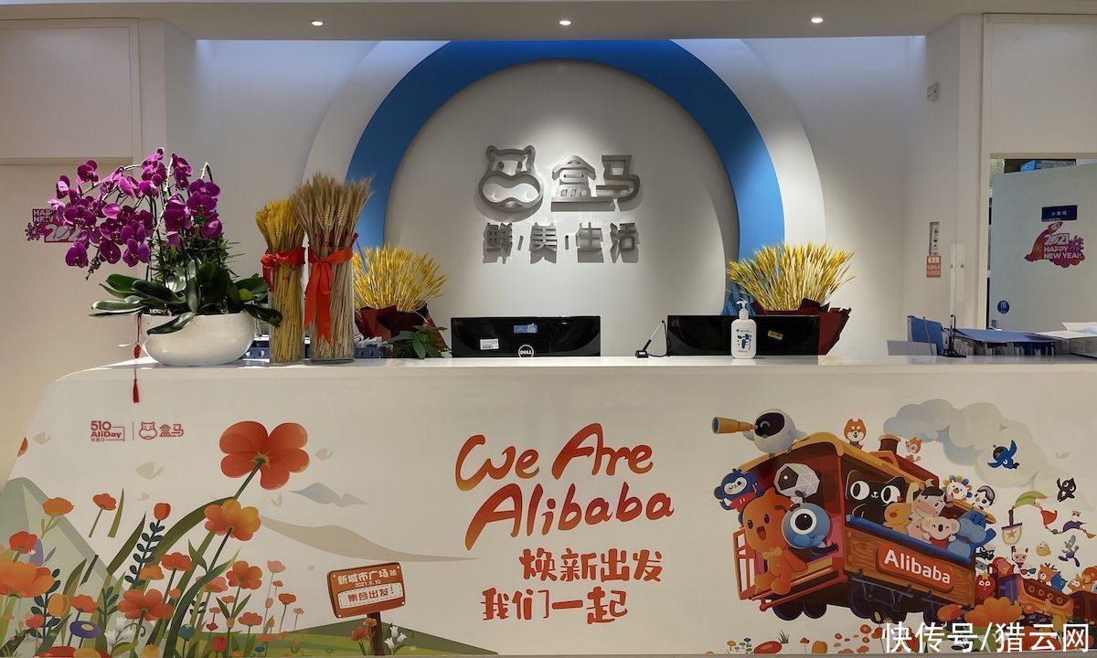 网红 白茄子 背后 盒马打造差异化生鲜补给线 全网搜