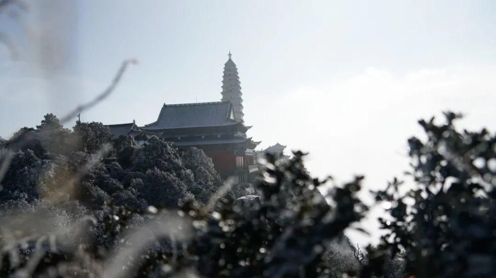 情结|云海与雪景、雾凇齐聚,惊艳了鸡足山的冬天!