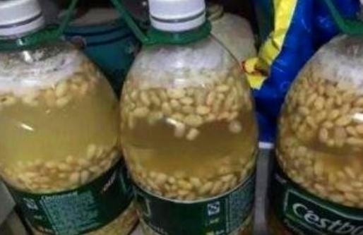 给花“换土”太麻烦丢点“这”3种“玩意”,旧土变成新土!