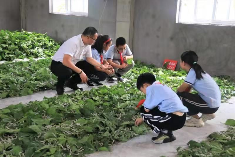 人民小学|劳动教育成就美好未来！桐乡这些学校劳动实践丰富多彩→