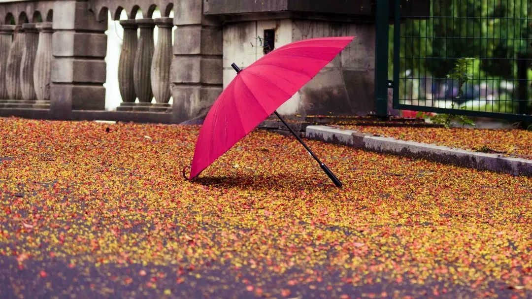 我“雨”最美校园，一起云赏沪上46所高校雨中即景