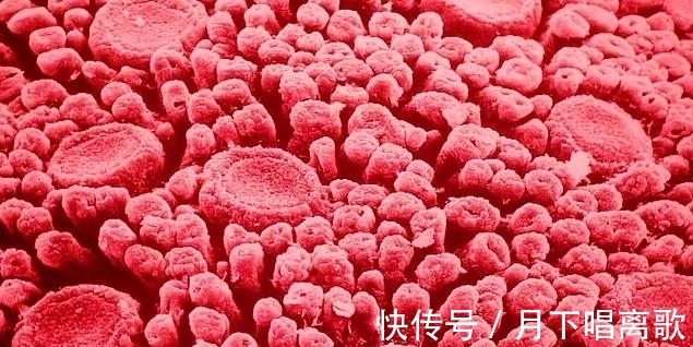 奇趣|精选一组奇趣图片;世界上最长的头发、显微镜下的睫毛及舌头