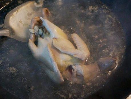 将其|一鸽胜九鸡,夏天比吃猪肉鸡肉好,汤鲜肉香,隔三差五吃特滋补