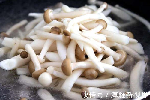 金枝玉叶|此菇是食用菌的“金枝玉叶”,经常吃一点,止咳化痰、减脂排毒