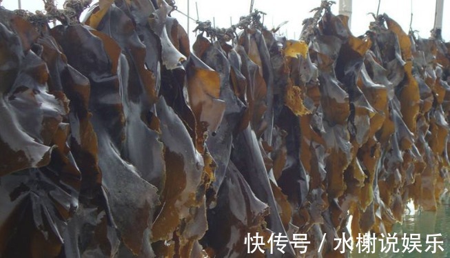 西兰花|“天然阿司匹林”就在身边，净化血液，清理血管，血栓不敢靠近。