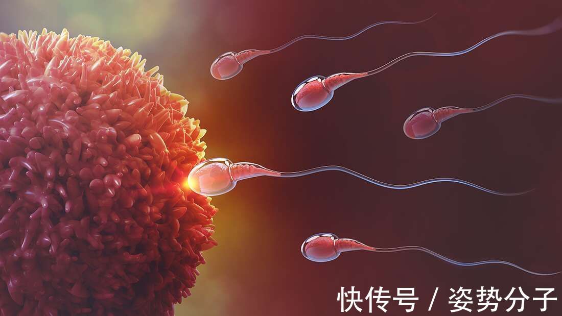beek|至少“生育”21个孩子!荷兰一医院曝出丑闻!