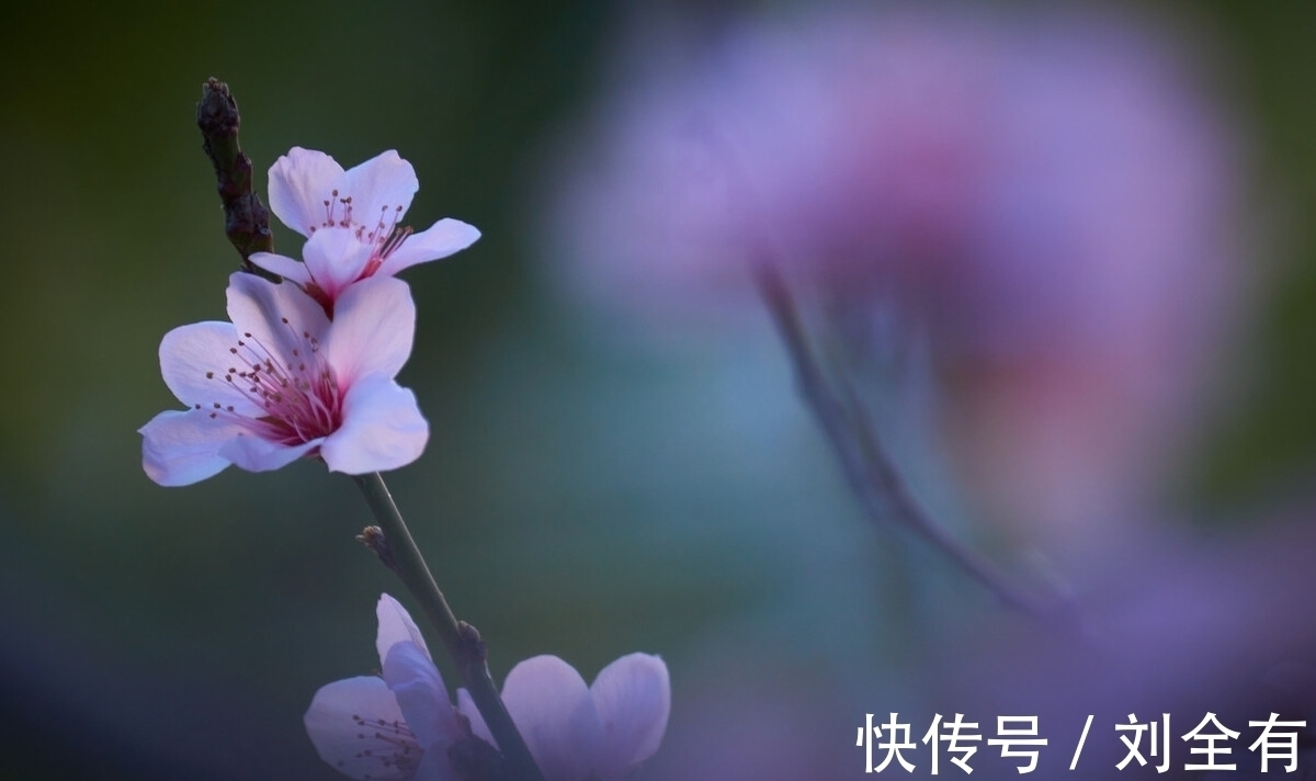 第一章@《道德经》第六章:从“众妙之门”到“玄牝之门”,还没听懂?