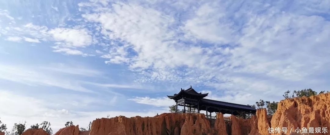 虞美人啊,让历史永远回荡英雄气,也让岁月疼痛到永远