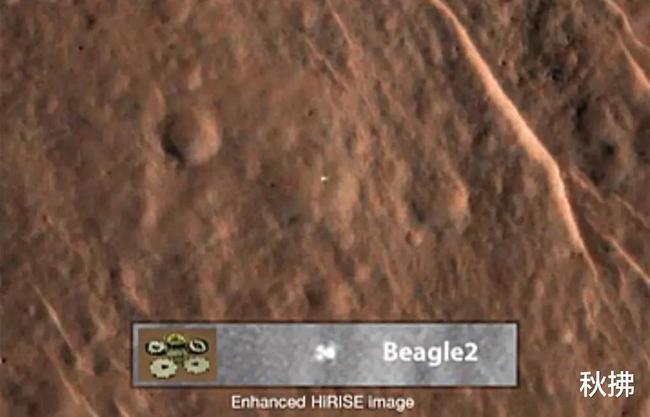 小猎犬 “毛子”的火星魔咒，果然名不虚传