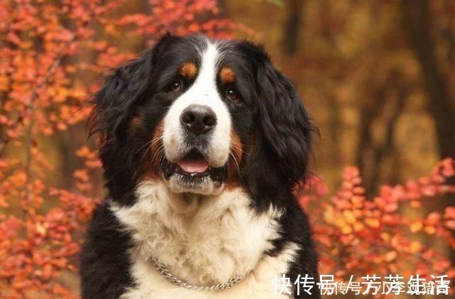 哈希娱乐- 哈希游戏平台- 哈希游戏官方网站儿童最新资讯-快科技--科技改变未来