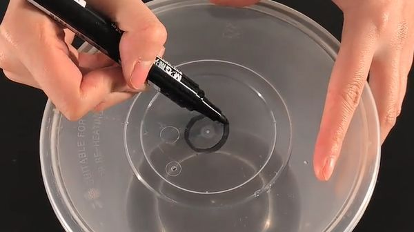 一次性餐盒不要扔,盖子上戳一个洞放家里面,全家人都要抢着用