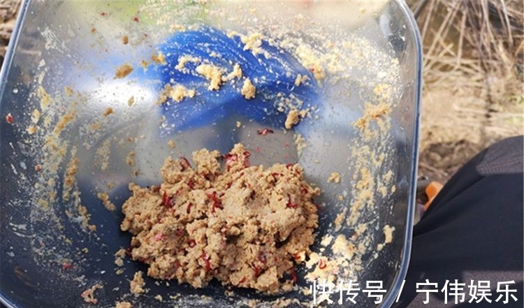 鲫鱼|野生大鲫鱼,最怕遇上的几种饵料,控制不住嘴,忍不住想吃!