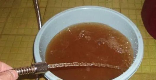 水家|比“雨水”浇花还好,这种水家家有,浇花不用施肥,百利无一害