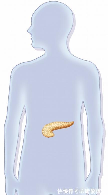 糖尿病|缺啥会导致糖尿病?吃啥能补充?看完你会对糖尿病有更深的认识