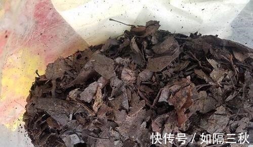 营养土|家庭养花,土从哪里来3个方法,不花一分钱,就能自制营养土了!