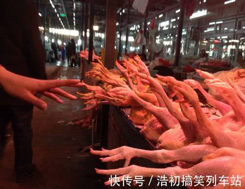 |爆笑段子:昨晚家里进了一女贼,因为光线太暗,没看太清