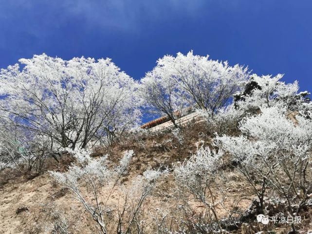 新鲜出炉！崆峒山雪景美爆了~