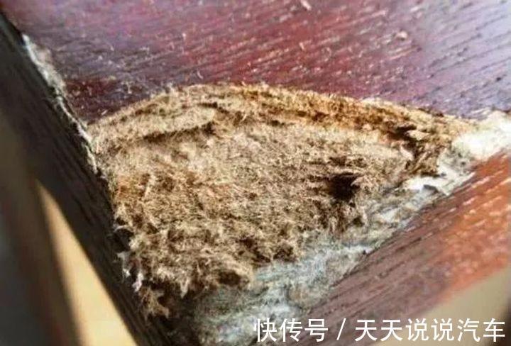 材料|装修能省则省，但这5种材料必须得舍得花，入住后才懂重要性！