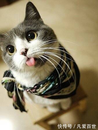 |搞笑动图:不好好走路,哥们你抽筋了么?