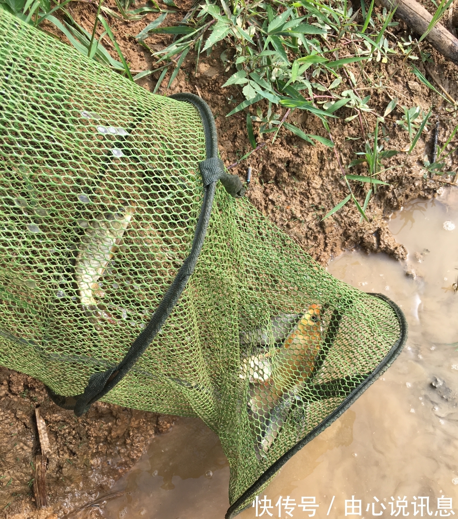 钓鱼潜规则知多少?这8种大忌不能犯,全做到的算真钓鱼人