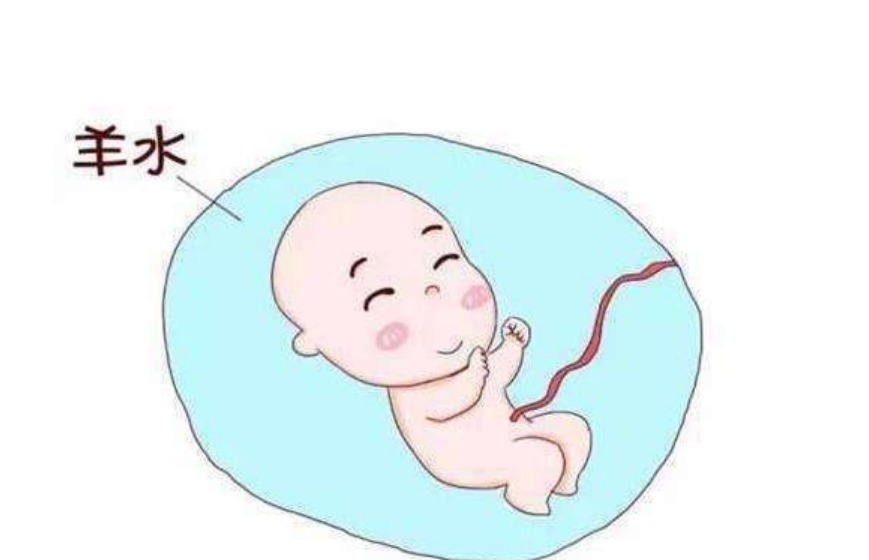 羊水|怀孕后,这4类食物不要吃了,会使羊水质量变差,影响胎儿发育