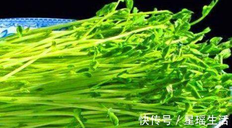 豌豆苗|女性不想变老,要常吃3物,美容排毒,延缓衰老,气色更好