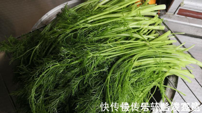 包肉饺子|包肉饺子配什么菜不用韭菜，用这个菜最合适，饺子喷香好吃