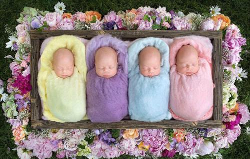 安娜|亲姐妹各生下双胞胎,经医生鉴定,4个孩子爸爸是同一人