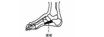 颈椎病|身体有一“治病区”，时常揉一下，疏通经络护腰椎，颈椎病不打扰