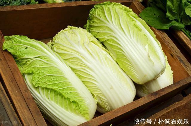 大白菜别直接放地上保存,教你1招保鲜方法,买多了也不怕坏