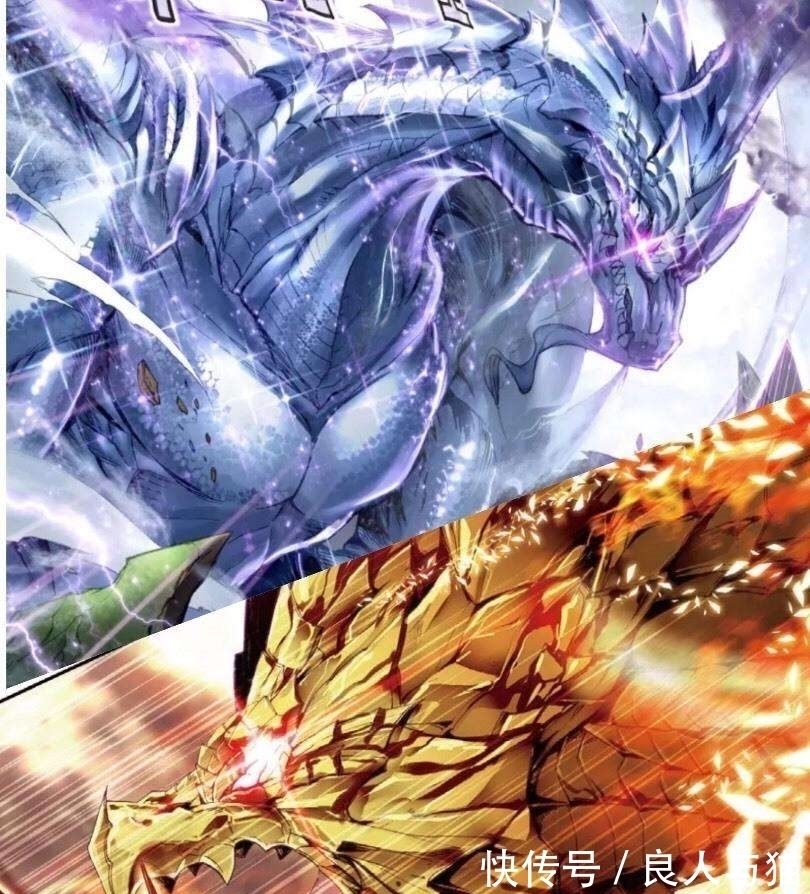 龙类|斗罗大陆出现过四个龙族王后,初代龙神的妻子你还记得吗?